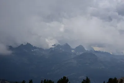 DSC_3085 (Large).JPG